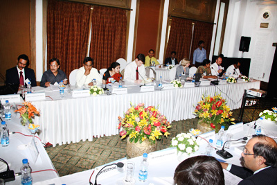 MC Expert Committees meeting (2011)