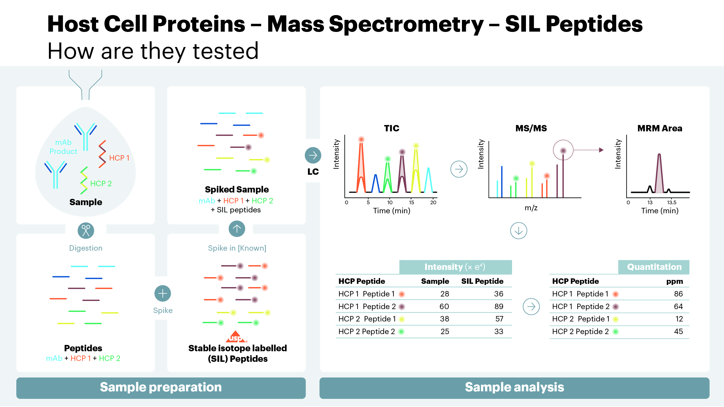 Host Cell Proteins - Mass Spectrometry - SIL Peptides