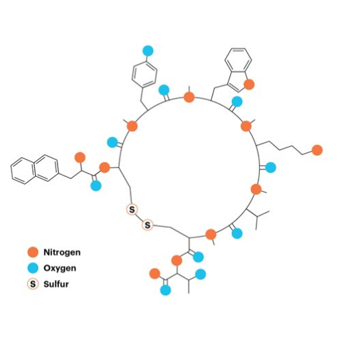 Example image of a macrocyclic peptide