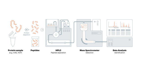 LC-MS Workflow for Host Cell Protein Analysis