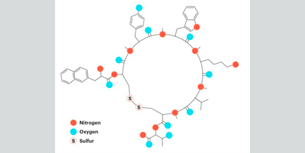 macrocyclic peptides